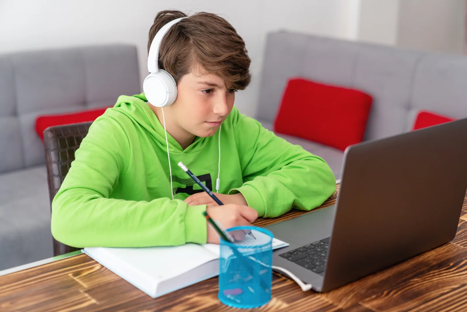 A young learner studying online at home